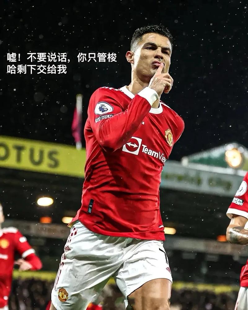 C罗谈爱尔兰球迷：希望别嘘我太多，我发誓我会努力做个乖孩子